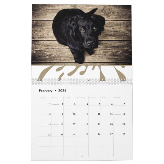 おもしろいカラスプラッシュブラックファミリーフォトコラージュ カレンダー (2月 2026)