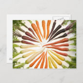 おもしろいカラフルにんじん ポストカード (正面/裏面)