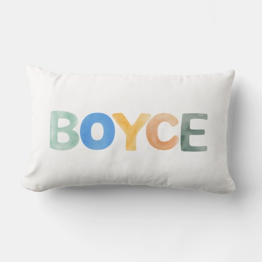 おもしろいカラフルカラーボイチェルイジアナタウン ランバークッション (正面)