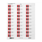 おもしろいカラフルディアナロモカメラフォトグラファー ラベル (フルシート)