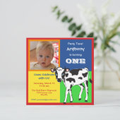 おもしろいカラフルベビー牛写真招待状 招待状 (スタンド正面)