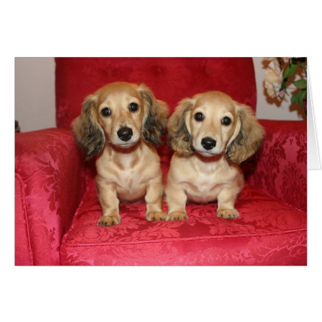 おもしろいカード (正面横)