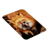 おもしろいキツネが舌を出している マグネット (右側)