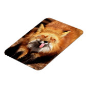 おもしろいキツネが舌を出している マグネット (左側)