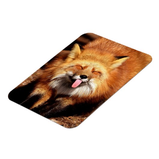 おもしろいキツネが舌を出している マグネット (左側)