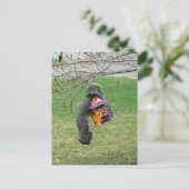 おもしろいキツネ ポストカード (スタンド正面)