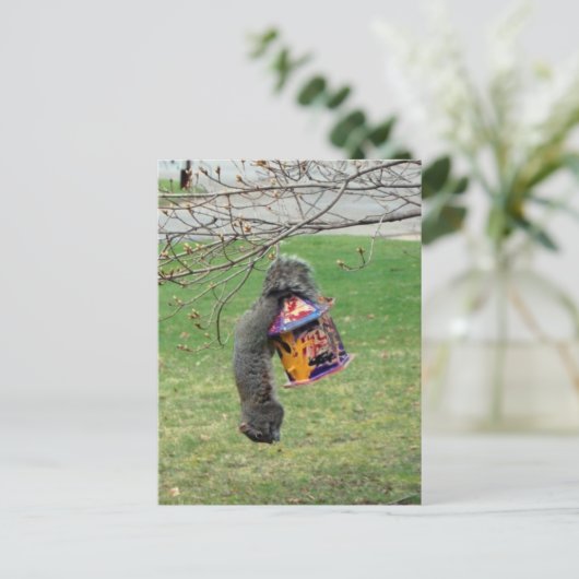 おもしろいキツネ ポストカード (スタンド正面)