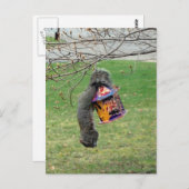 おもしろいキツネ ポストカード (正面/裏面)