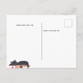 おもしろいキャッツハウスイラストレーションの移動告知 案内ポストカード (裏面)