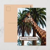 おもしろいキリン与えはラズベリーだ ポストカード (正面/裏面)