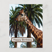 おもしろいキリン与えはラズベリーだ ポストカード (正面)