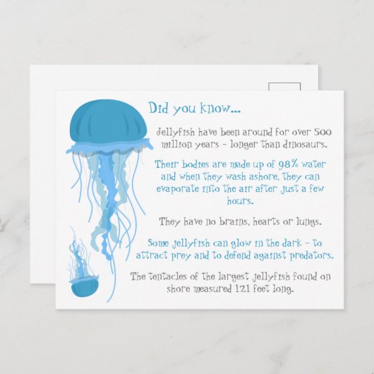 おもしろいクラゲについて ポストカード (正面/裏面)