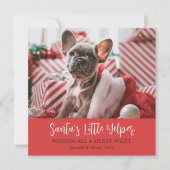 おもしろいクリスマスかわいいペットフォトレッドホリデーカード シーズンカード (正面)