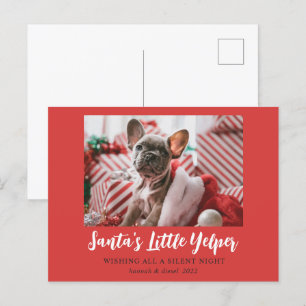 おもしろいクリスマスかわいいペット写真赤白 シーズンポストカード