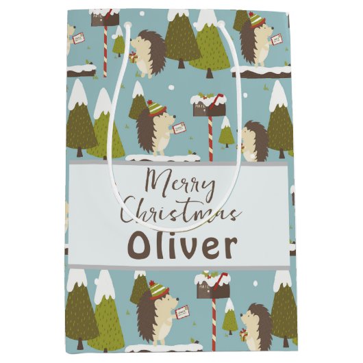 おもしろいクリスマスのヘッジホグの子供の名前 ミディアムペーパーバッグ (正面)