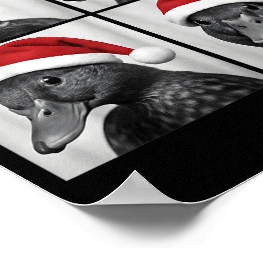 おもしろいクリスマスのマダガモのサンタ写真ブース ポスター (角)