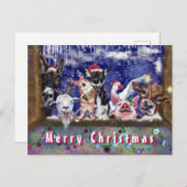 おもしろいクリスマスカードカード幸せ動物パーティー ポストカード (正面/裏面)