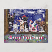 おもしろいクリスマスカードカード幸せ動物パーティー ポストカード (正面)