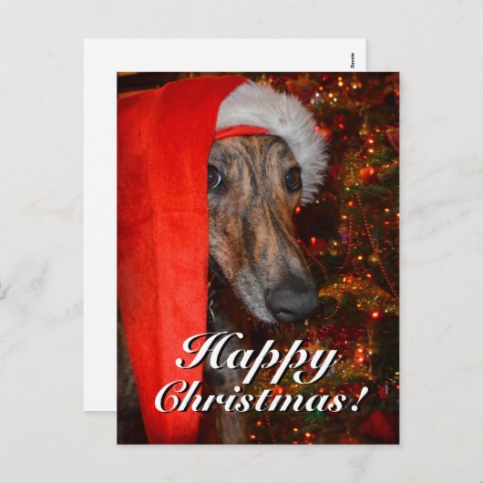 おもしろいクリスマスサンタグレイハウンドルチャー シーズンポストカード (正面/裏面)