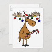 おもしろいクリスマスムースとキャンディーケーンとオーナメント シーズンポストカード (正面/裏面)