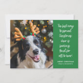 おもしろいクリスマス応援ドッグ写真 シーズンカード (正面)