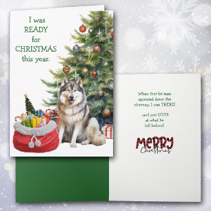 おもしろいクリスマス準備のマラムート犬 シーズンカード