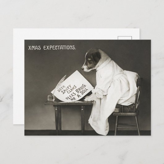 おもしろいクリスマス犬クリスマス期待ホリデー シーズンポストカード (正面/裏面)