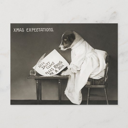おもしろいクリスマス犬クリスマス期待ホリデー シーズンポストカード (正面)