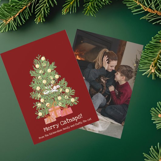 おもしろいクリスマス！猫の昼寝 クリスマスツリーの上の猫 シーズンカード