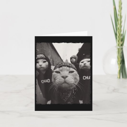 おもしろいグラフィック猫ギャングおもしろい カード (正面)