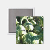 おもしろいグルド/何が…引用文磁石 マグネット (正面/裏面)