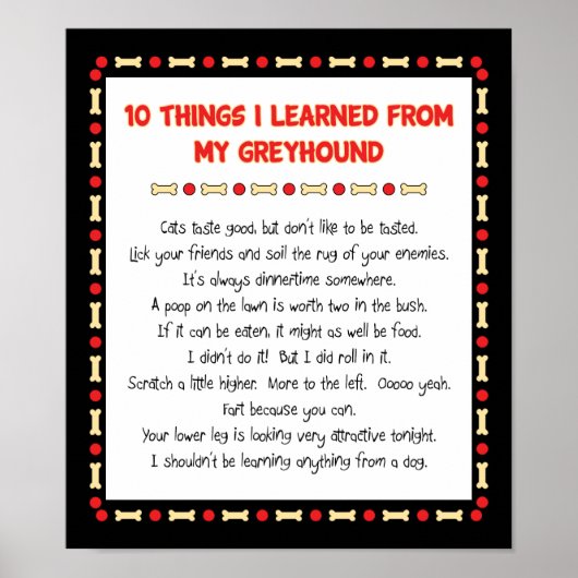 おもしろいグレイホ学ンドのもの ポスター (正面)