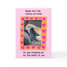 おもしろいゴールデンレトリバーと靴バレンタイン