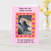 おもしろいゴールデンレトリバーと靴バレンタイン カード (黄色い花)