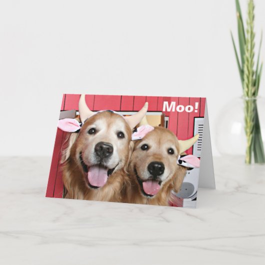 おもしろいゴールデンレトリバーズインカウレンズハロウィーン カード (正面)