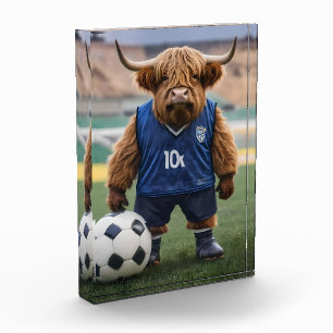 おもしろいサッカーの服を着た高地の牛 フォトブロック