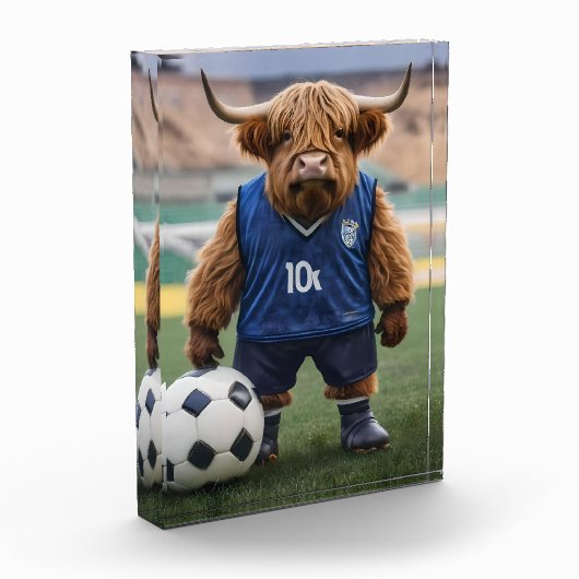 おもしろいサッカーの服を着た高地の牛 フォトブロック (左)