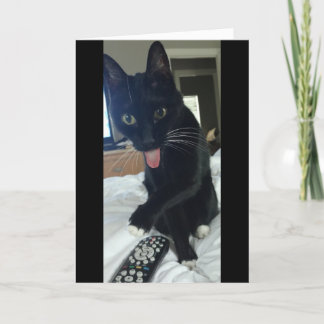 おもしろいサンキューカード猫がリモートを隠す サンキューカード