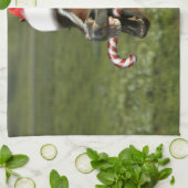 おもしろいサンタ帽をかぶったクリスマスの馬 キッチンタオル (折り畳み)