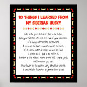 おもしろいシベリアの学ハスキーから ポスター (正面)