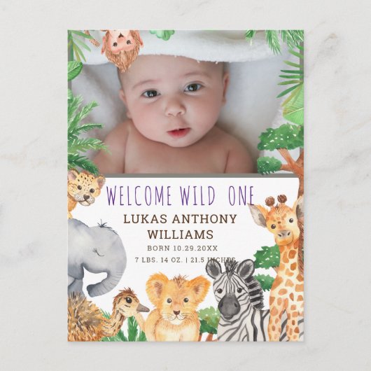 おもしろいジャングルサファリ動物ベビー誕生発表 案内ポストカード (正面)