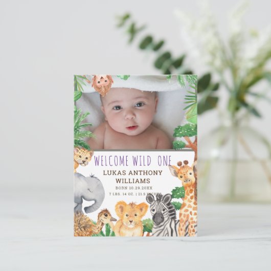 おもしろいジャングルサファリ動物ベビー誕生発表 案内ポストカード (スタンド正面)