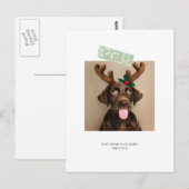 おもしろいスノーフレークのテープクリスマスフォト（ポストカードバック） ポストカード (正面/裏面)