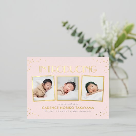 おもしろいス実在ナップツフォイルベビー発表葉書 箔シーズンポストカード (立ち正面)