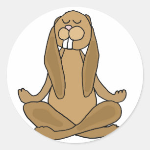 おもしろいゼンバニーラビットinヨガポーズ ラウンドシール