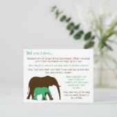 おもしろいゾウに関する事実 ポストカード (スタンド正面)