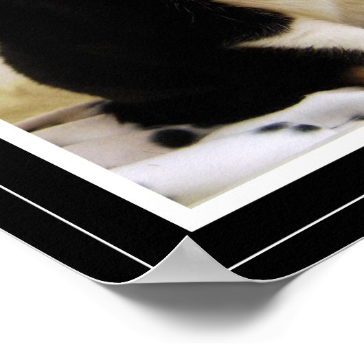 おもしろいタキシード猫ポスター ポスター (角)