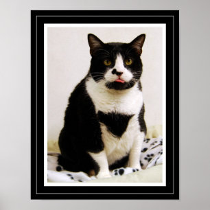 おもしろいタキシード猫ポスター ポスター