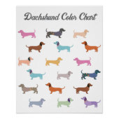 おもしろいダシュント犬のユーモアのカラーチャートのポスター ポスター (正面)