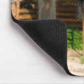 おもしろいダチョウのカップル マウスパッド (コーナー)